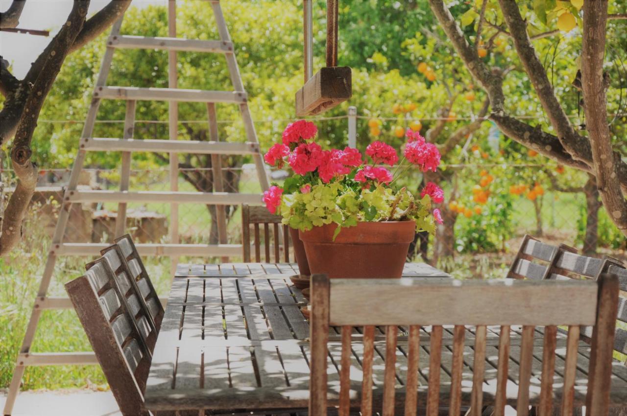 Ca'N Guiri, Eco Finca In Mallorca Кампанет Екстериор снимка